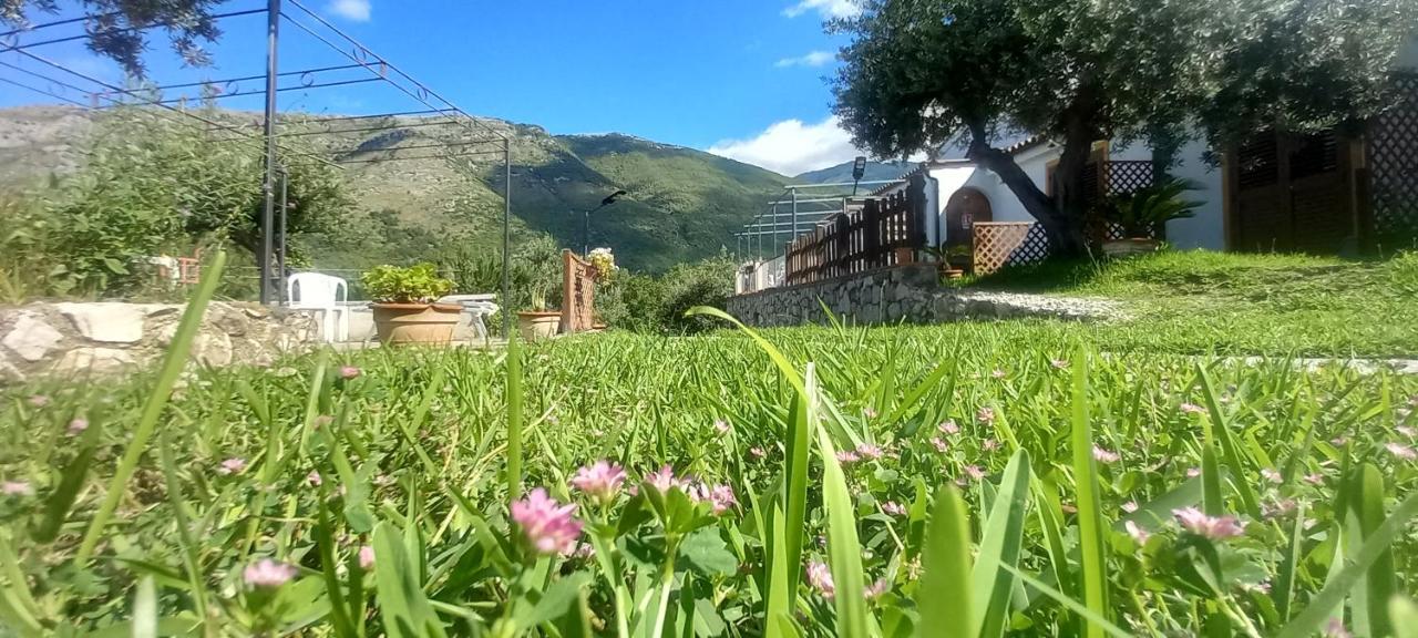 Bed and breakfast Da Maria Teresa -